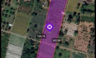 Tanah Murah View Gunung Di Jalan Utama Catur Belok Sidan Plaga Petang Badung