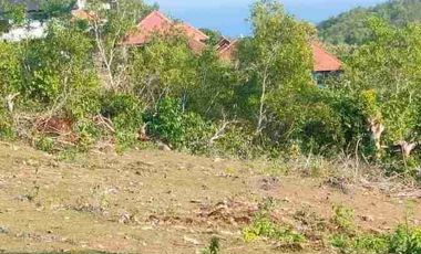 tanah ocean view 4714m² dekat pantai green bowl Ungasan Kuta Selatan Badung Bali
