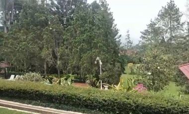 FOR SALE AT CHEAPEAST PRICE A WELL MAINTAINED LUXURIOUS VILLA IN CIMACAN PUNCAK.