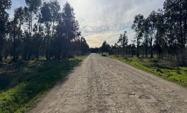 VENDO HERMOSA PARCELA EN PRIMERA LINEA  A 30 MINUTOS DE CHILLAN CAMINO  A PORTEZUELO