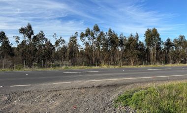 VENDO HERMOSA PARCELA EN PRIMERA LINEA  A 30 MINUTOS DE CHILLAN CAMINO  A PORTEZUELO
