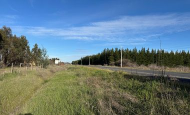 VENDO HERMOSA PARCELA EN PRIMERA LINEA  A 30 MINUTOS DE CHILLAN CAMINO  A PORTEZUELO