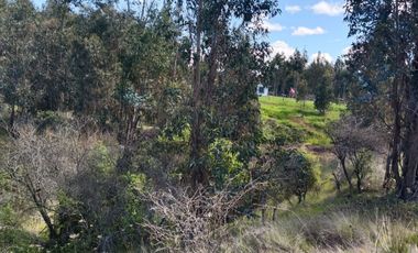 VENDO HERMOSA PARCELA EN PRIMERA LINEA  A 30 MINUTOS DE CHILLAN CAMINO  A PORTEZUELO