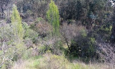 VENDO HERMOSA PARCELA EN PRIMERA LINEA  A 30 MINUTOS DE CHILLAN CAMINO  A PORTEZUELO