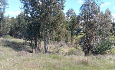VENDO HERMOSA PARCELA EN PRIMERA LINEA  A 30 MINUTOS DE CHILLAN CAMINO  A PORTEZUELO