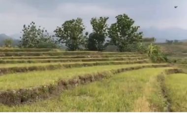 Tanah Pacet Mojokerto View Gunung