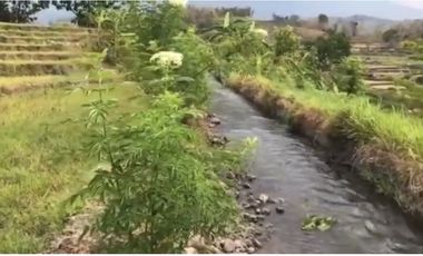Tanah Pacet Mojokerto View Gunung