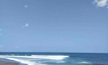 PREMIUM LAND FOR SALE IN TABANAN, BALI