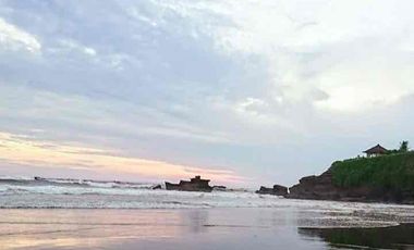 PREMIUM LAND FOR SALE IN TABANAN, BALI