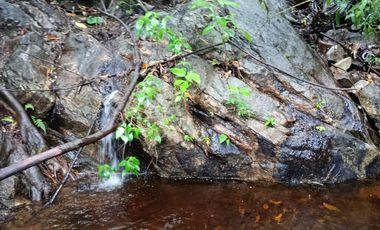 ESTE TERRENO CUENTA CON MANANTIAL