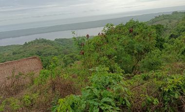 ESTE TERRENO CUENTA CON MANANTIAL