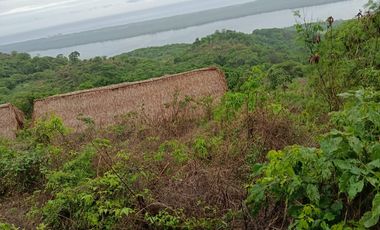 ESTE TERRENO CUENTA CON MANANTIAL