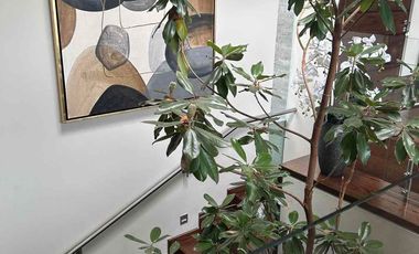 VILLAS.  DEL MESON VENDO ESPECTACULAR  RESIDENCIA CON VISTA AL LAGO