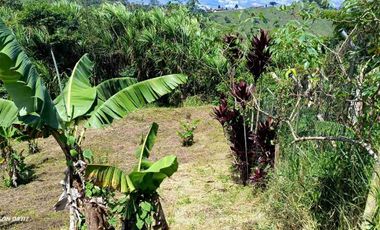 🏞️venta finca Agricola Pereira
