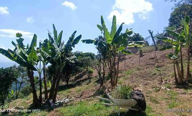 🏞️venta finca Agricola Pereira