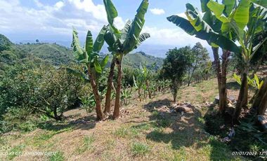 🏞️venta finca Agricola Pereira