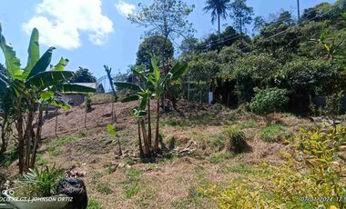 🏞️venta finca Agricola Pereira