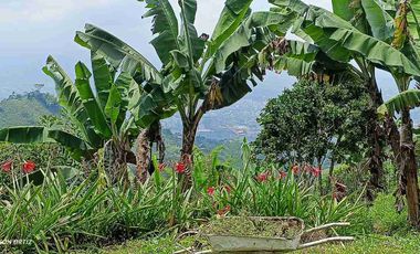 🏞️venta finca Agricola Pereira