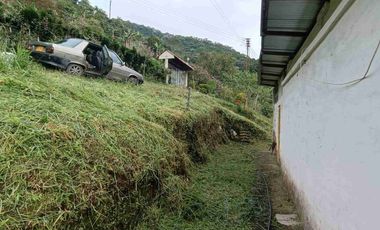 🏞️venta finca Agricola Pereira