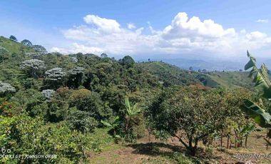 🏞️venta finca Agricola Pereira