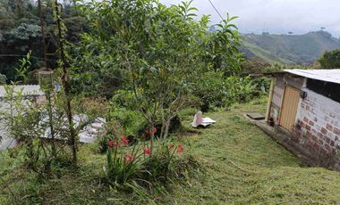 🏞️venta finca Agricola Pereira