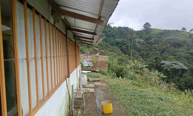 🏞️venta finca Agricola Pereira