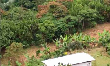 🏞️venta finca Agricola Pereira