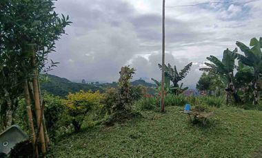 🏞️venta finca Agricola Pereira