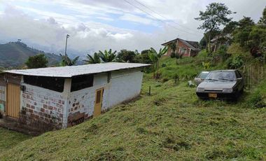 🏞️venta finca Agricola Pereira