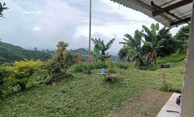 🏞️venta finca Agricola Pereira