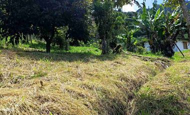 🏞️venta finca Agricola Pereira