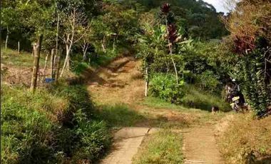 🏞️venta finca Agricola Pereira