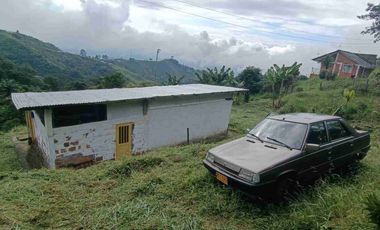 🏞️venta finca Agricola Pereira