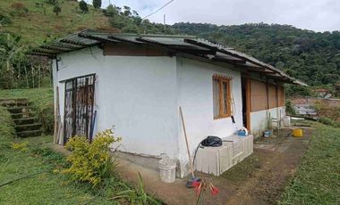 🏞️venta finca Agricola Pereira