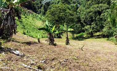 🏞️venta finca Agricola Pereira