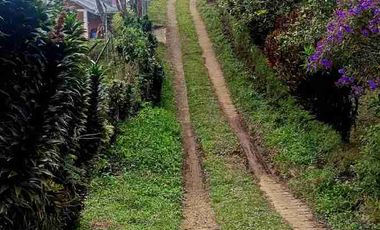 🏞️venta finca Agricola Pereira