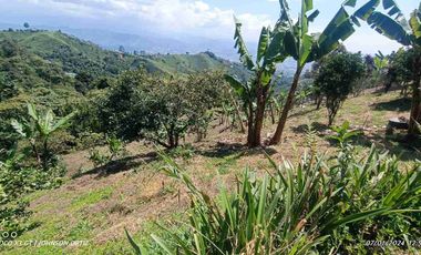 🏞️venta finca Agricola Pereira