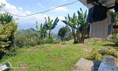 🏞️venta finca Agricola Pereira