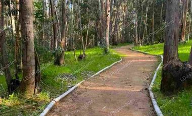 Venta de departamento en condominio Alto las Cruces