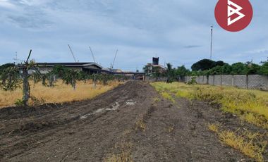 ขายที่ดิน เนื้อที่ 8 ไร่ 2 งาน 59 ตร.วา สนามจันทร์ นครปฐม