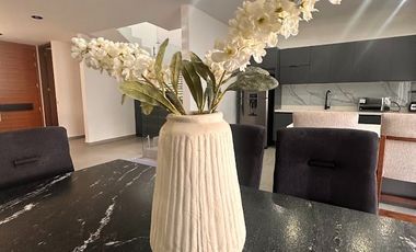 RENTA DE CASA AMUEBLADA EN MAYORAZGO SALIDA LEON SILAO