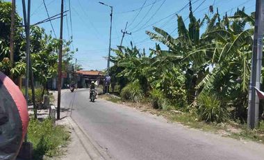 jual murah tanah pekarangan SHM ( 12 X 9.m)  siap bangun di terung Kulon - Krian - Sidoarjo