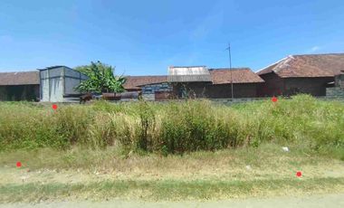 jual murah tanah pekarangan SHM ( 12 X 9.m)  siap bangun di terung Kulon - Krian - Sidoarjo