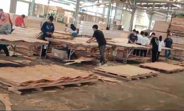 PABRIK PLYWOOD JOMBANG JAWA TIMUR