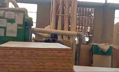 PABRIK PLYWOOD JOMBANG JAWA TIMUR