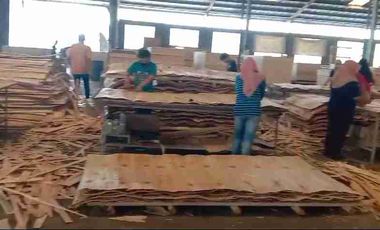 PABRIK PLYWOOD JOMBANG JAWA TIMUR