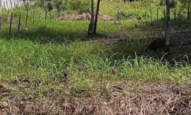 ¿Buscas un lugar tranquilo para vivir, alejado del ruido, donde puedas respirar aire puro, pero sin distanciarte de la ciudad? Este terreno es para ti