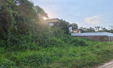 Dijual Tanah Komersil Cocok untuk Bangun Gudang atau Ruko Jalur Ke Area Tambang Morosi