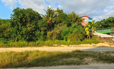Dijual Tanah Komersil Cocok untuk Bangun Gudang atau Ruko Jalur Ke Area Tambang Morosi