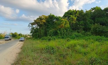 Dijual Tanah Komersil Cocok untuk Bangun Gudang atau Ruko Jalur Ke Area Tambang Morosi